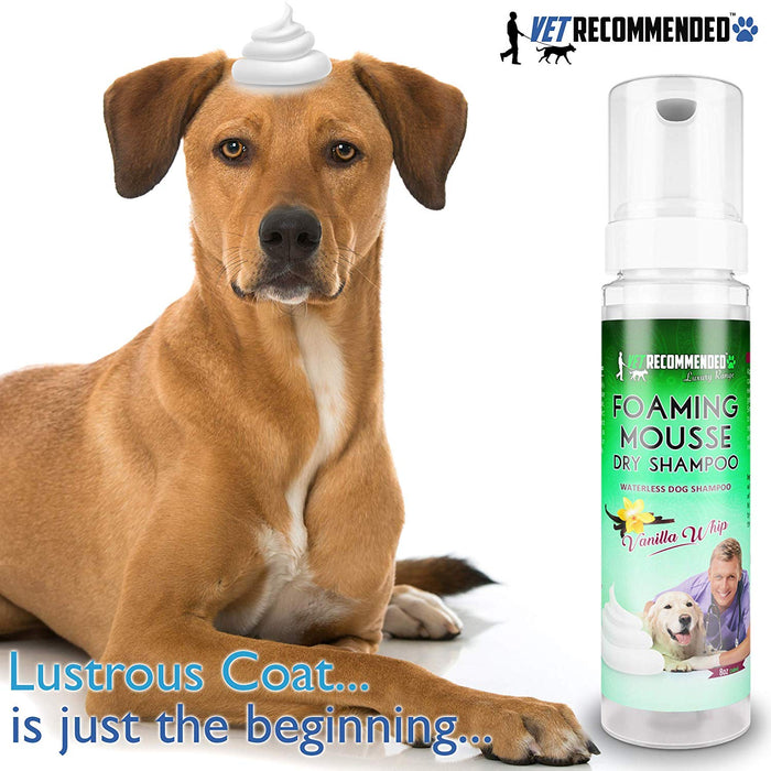 Waterless Dog Shampoo Mousse - No Rinse - Vanilla Whip Scent - 8oz/240ml