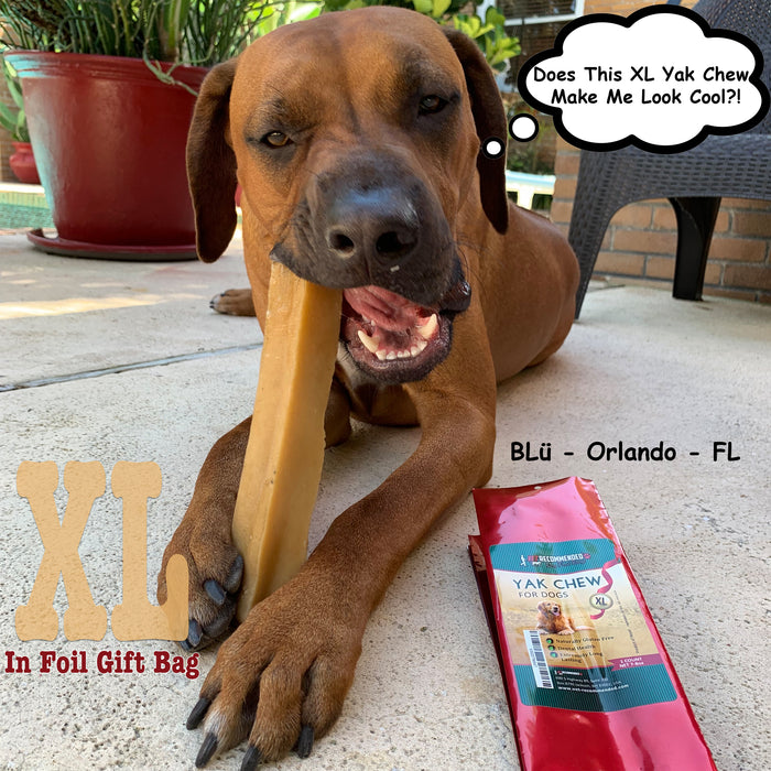 XL Yak Chew Long Lasting Chews - Made from Himalayan Yak Milk